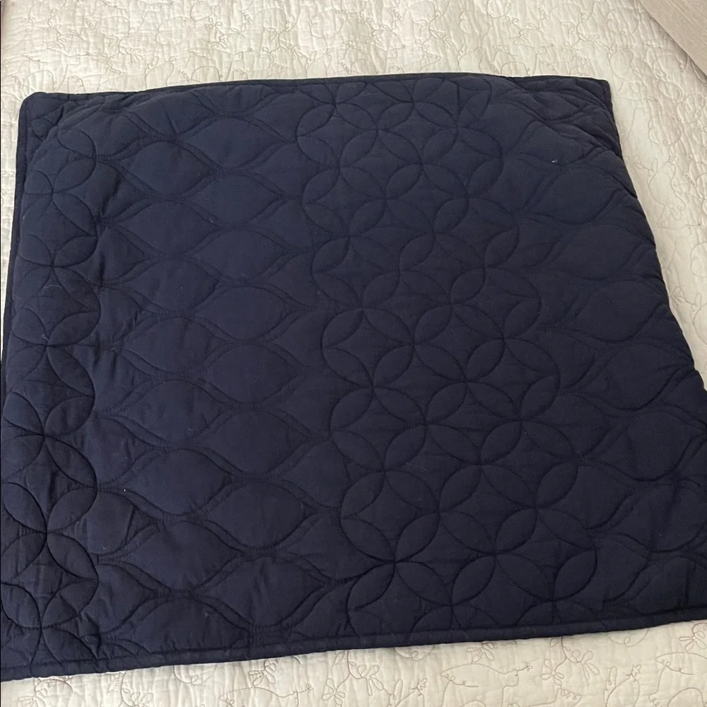 Three West Elm Quilted Euro Pillow Covers